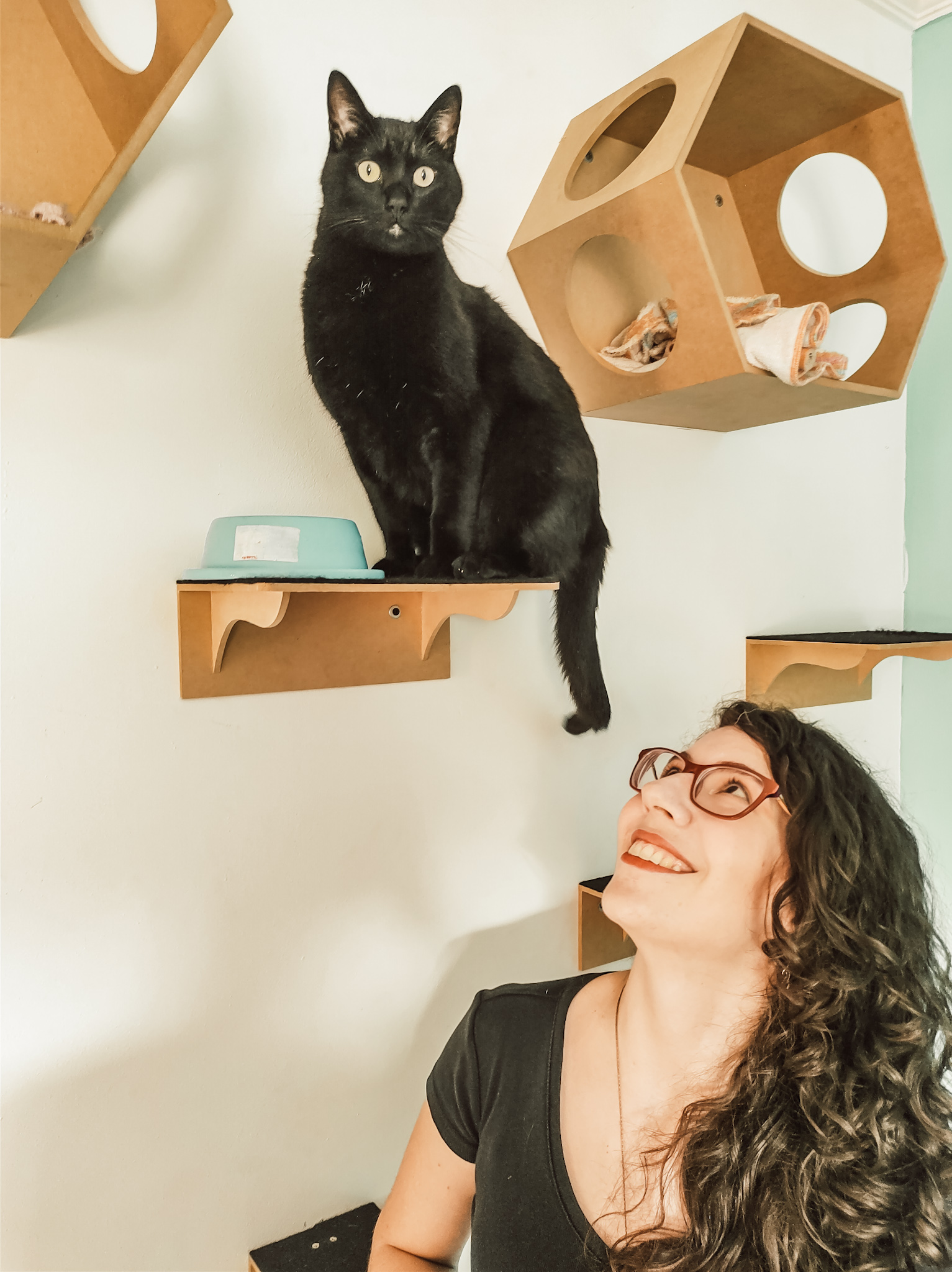 Tutora dando comida ao gato 2